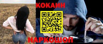 шишки Абакан