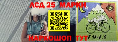 шишки Абакан