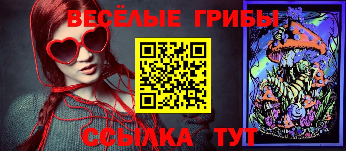 Псилоцибиновые грибы Magic Shrooms  где продают   Алатырь  Вход с VPN  Псилоцибиновые грибы GOLDEN TEACHER 